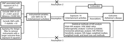Entertainment activities and the risk of Alzheimer’s disease: a Mendelian randomization analysis